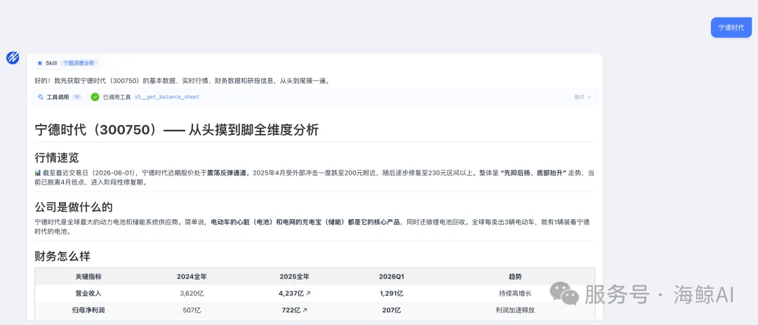 宁德时代个股深度分析报告输出示例